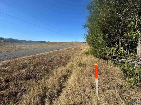 County Road 66, Section, AL 35771