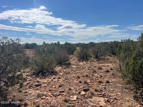 2 N Old Woodruff Rd, Snowflake, AZ 85937