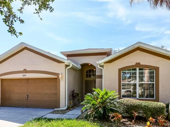 8205 Whistling Pne, Tampa, FL 33647