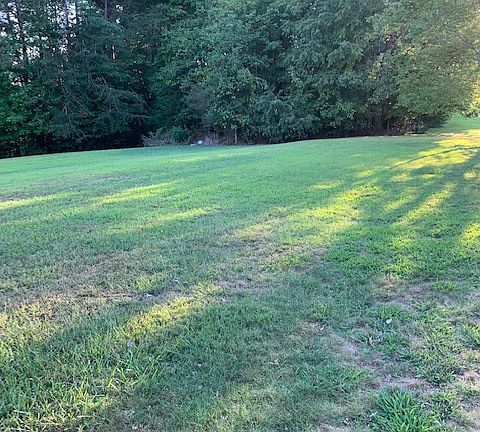Large backyard 