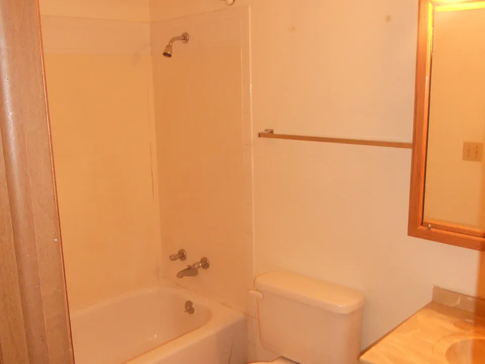 Bathroom_11052019