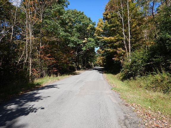 2nd image of 384 Phillips Rd