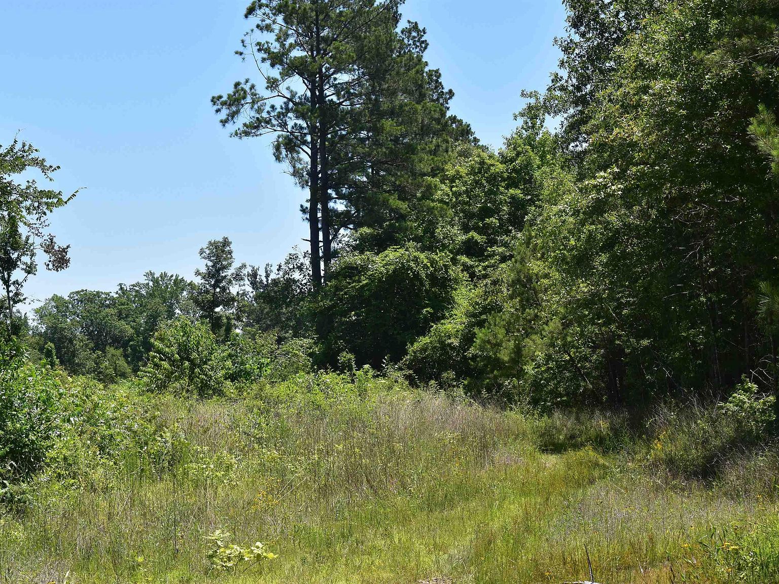 Tollfree Road Se Se 22 11 N11, New Edinburg, AR 71660 MLS 24022344