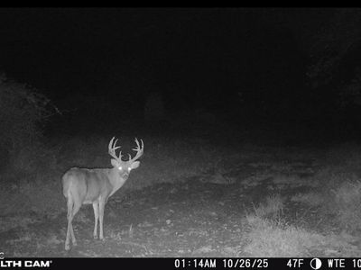 2000 W 1125 N, Freetown, IN, 47235