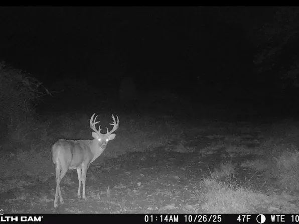 2000 W 1125 N, Freetown, IN 47235