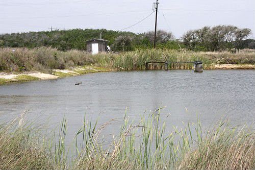 4th image of 4042 Sweet Bay Dr