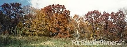 4th image of E2598 1240th Ave