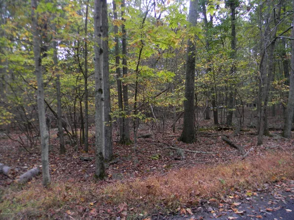 504 Cottontail Ln, East Stroudsburg, PA 18302