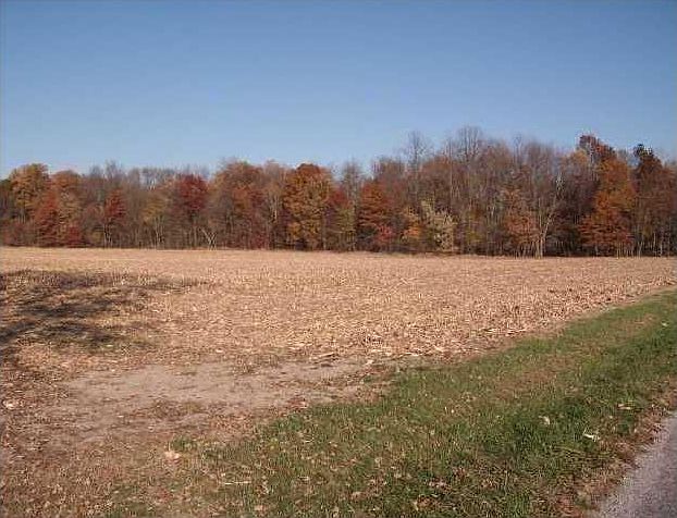 2nd image of 6210 E County Road 100