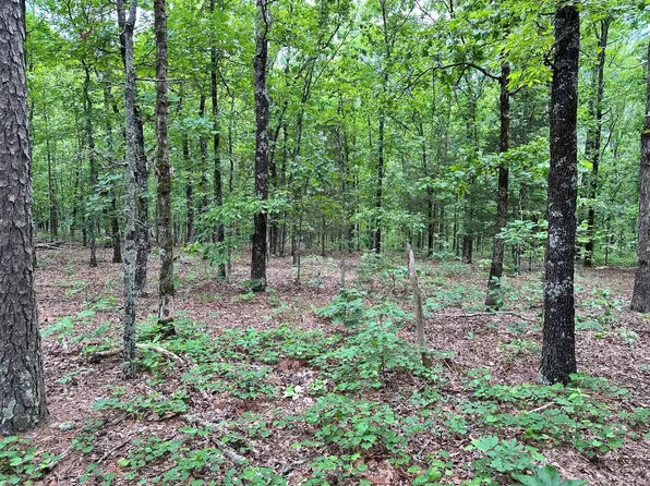 0 Pryor Mountain Dr W, Quitman, AR 72131