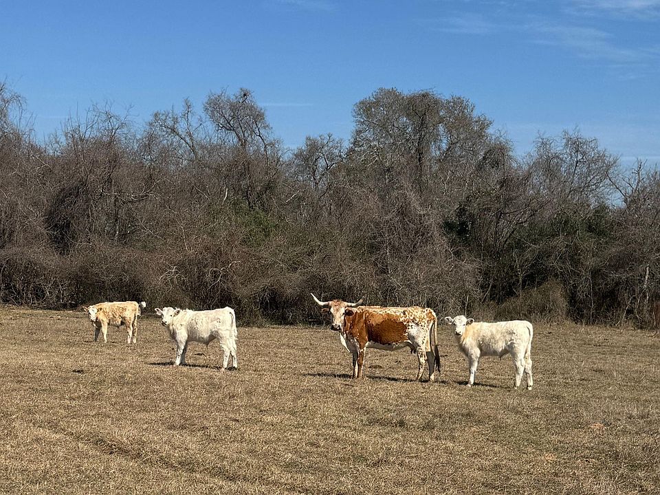 1st image of 0 West Ln