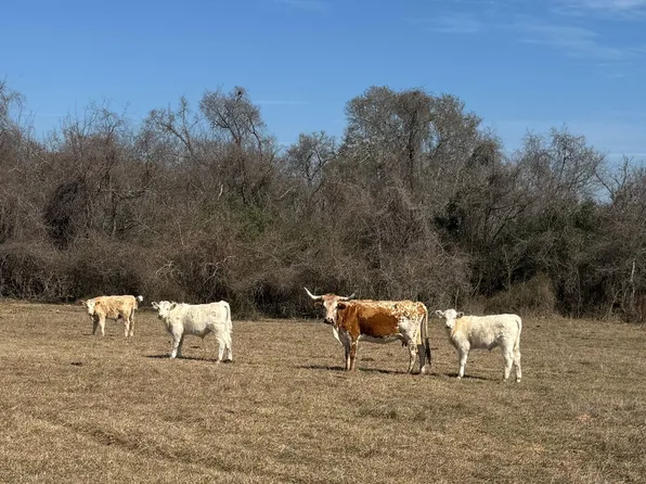 0 West Ln, Navasota, TX 77868