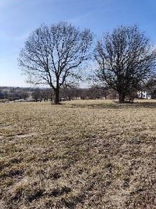 1016 E Hubach Hill Rd, Raymore, MO, 64083