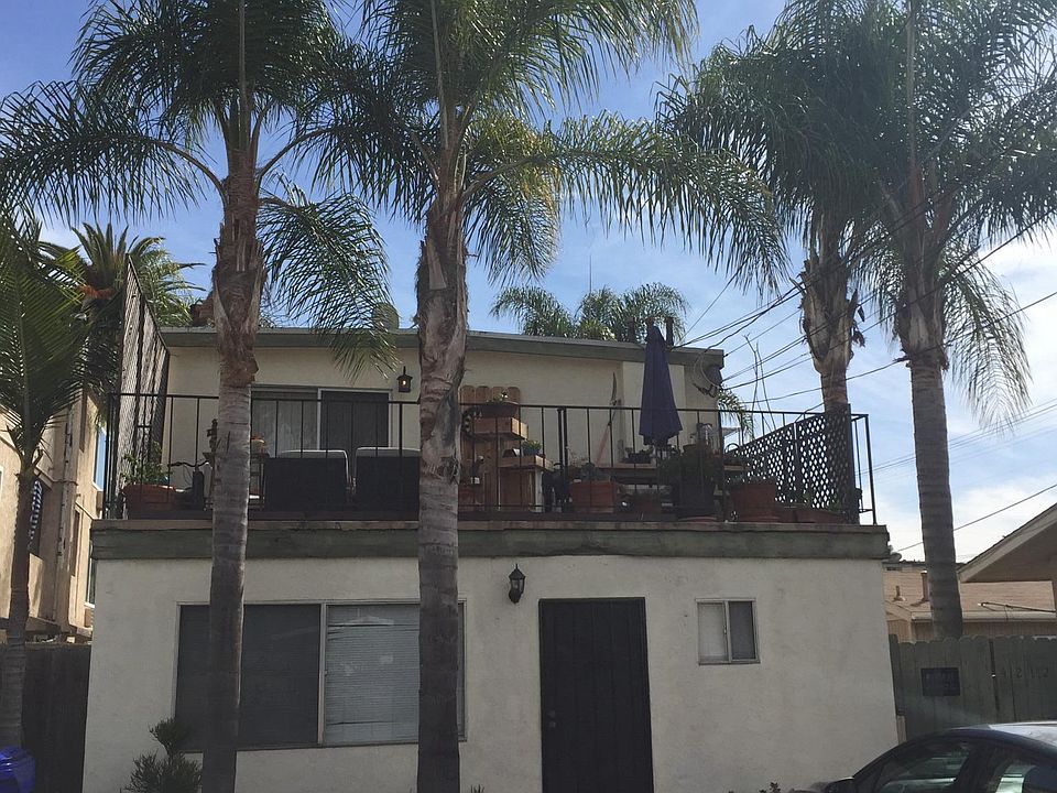 Deck surrounded by mature palms
