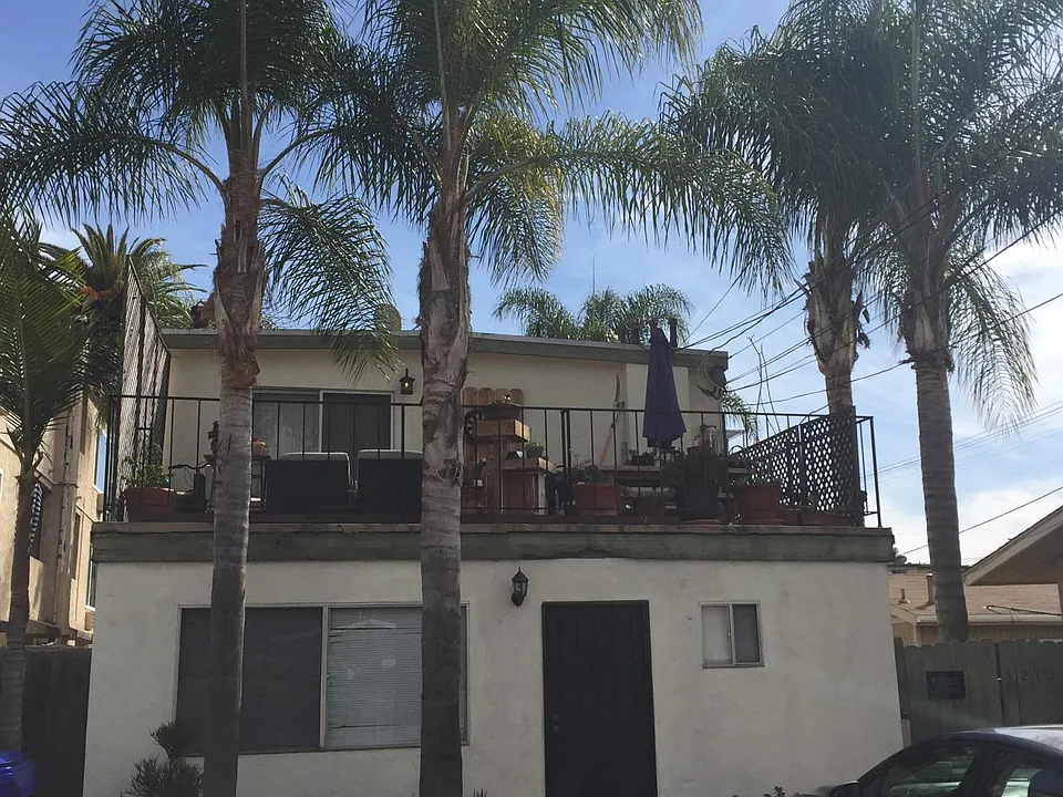 Deck surrounded by mature palms