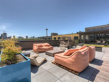 Rooftop Amenity Space