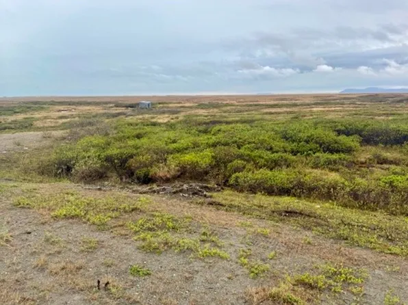 Mile 2 Nome Beltz Hwy, Nome, AK 99762