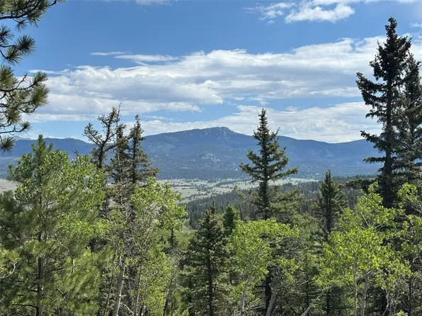 27 Outlaw Court, Jefferson, CO 80456
