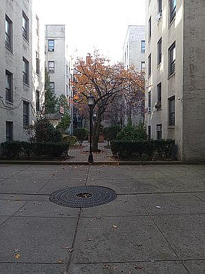 1st image of 2168 35th St APT 1E
