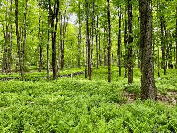 00 Day Road, Cornwall, CT 06753