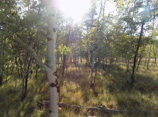 1203 Kiowa St, Como, CO 80456