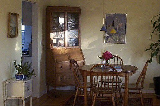 Dinner light
