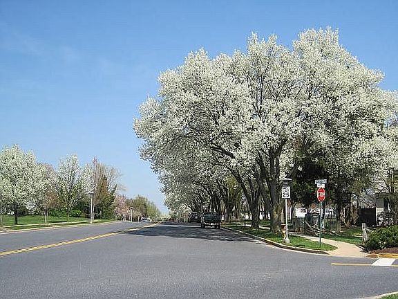 Amber Drive - Entrance to Development