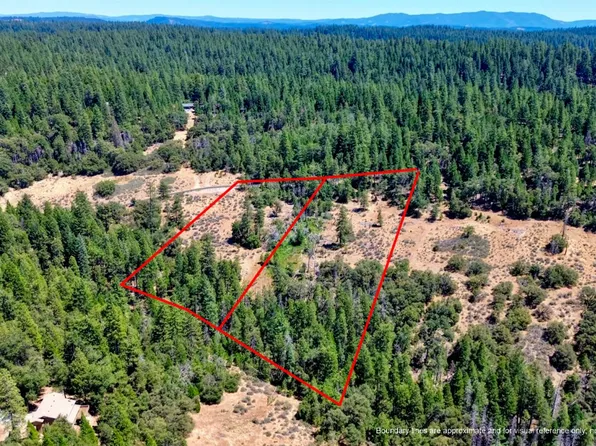 19437 Ponderosa Dr, Pioneer, CA 95666