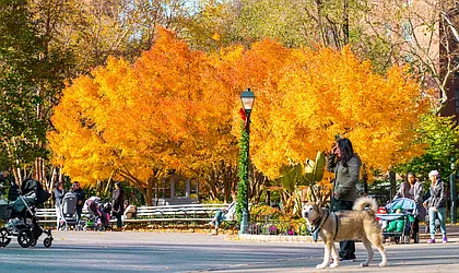 Rented by Beam Living