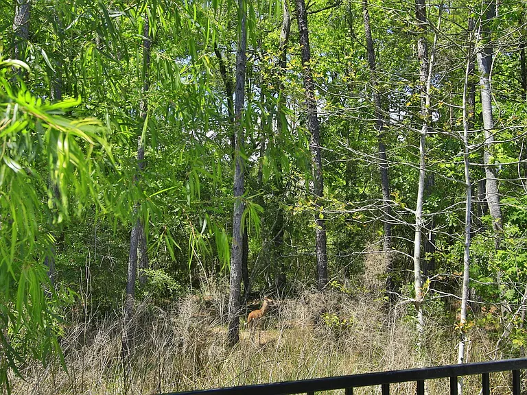 282 Sky Top Dr — Photo 40