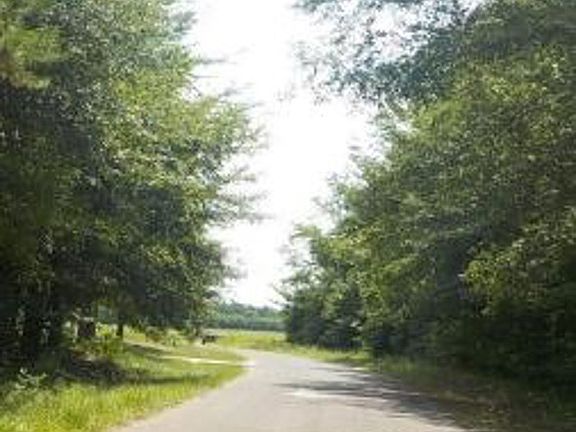 Exterior Neighborhood (street photo)