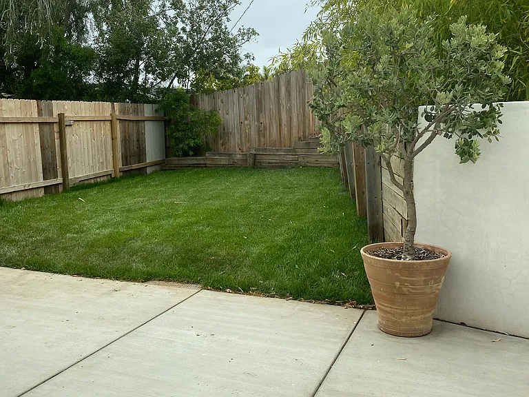 private grassed back yard