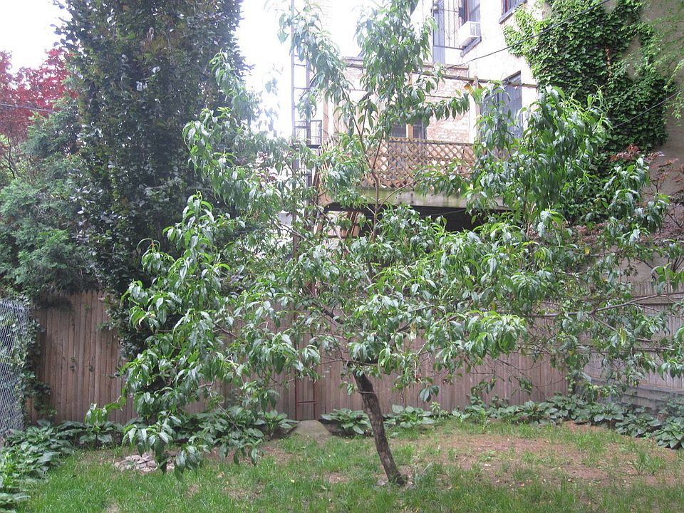 1st image of 219 5th Ave #1