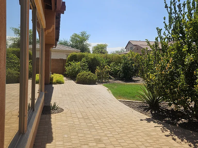 rear yard
