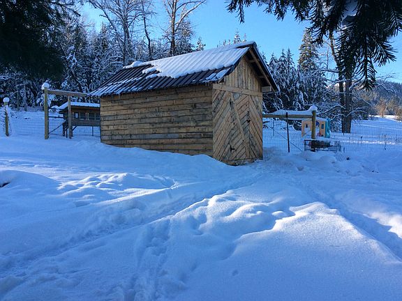 Small animal barn or shed