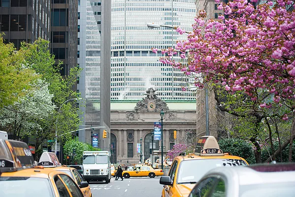 Rented by Compass | media 17