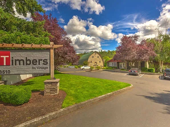 The Timbers by Vintage