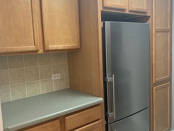 3rd image of 100 E Walton St APT 29C