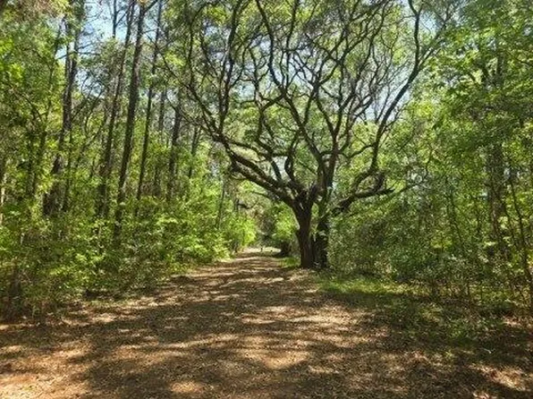 0 Bears Bluff Rd Lot C, Wadmalaw Island, SC 29487