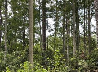 97 White Dr NE, Townsend, GA 31331