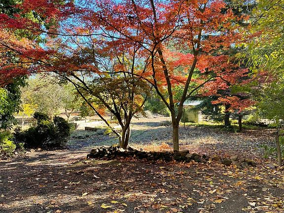 Surrounded by gorgeous fir, maple and camellia trees on 2 acres.