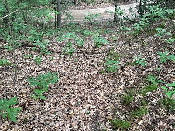 5th image of LOT Hemlock Trl #G