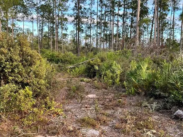 SE 212th Ct Lot 6, Umatilla, FL 32784