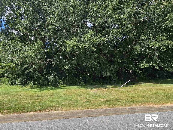 3rd image of 903 Savannah Ct