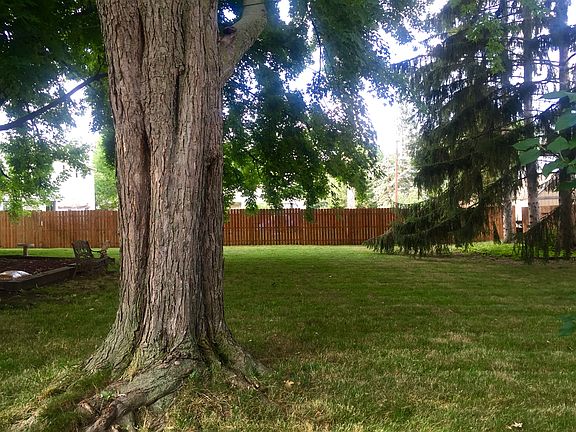 enormous fenced in yard