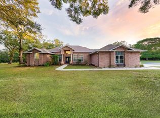 11119 Serenity Oaks Ln, Thonotosassa, FL 33592