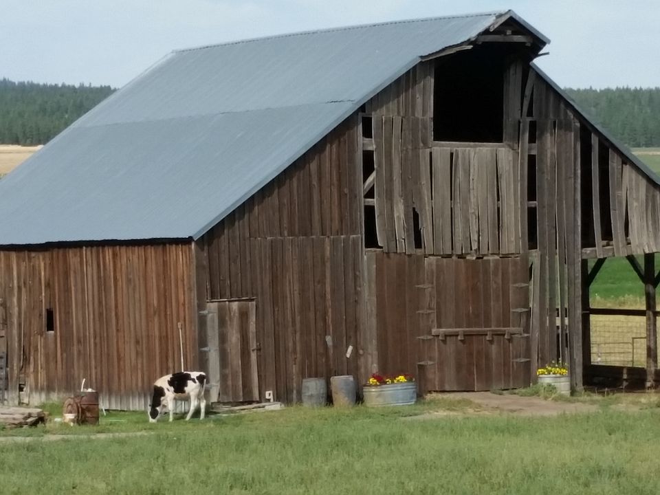 1st image of 8847 Yonna Dr