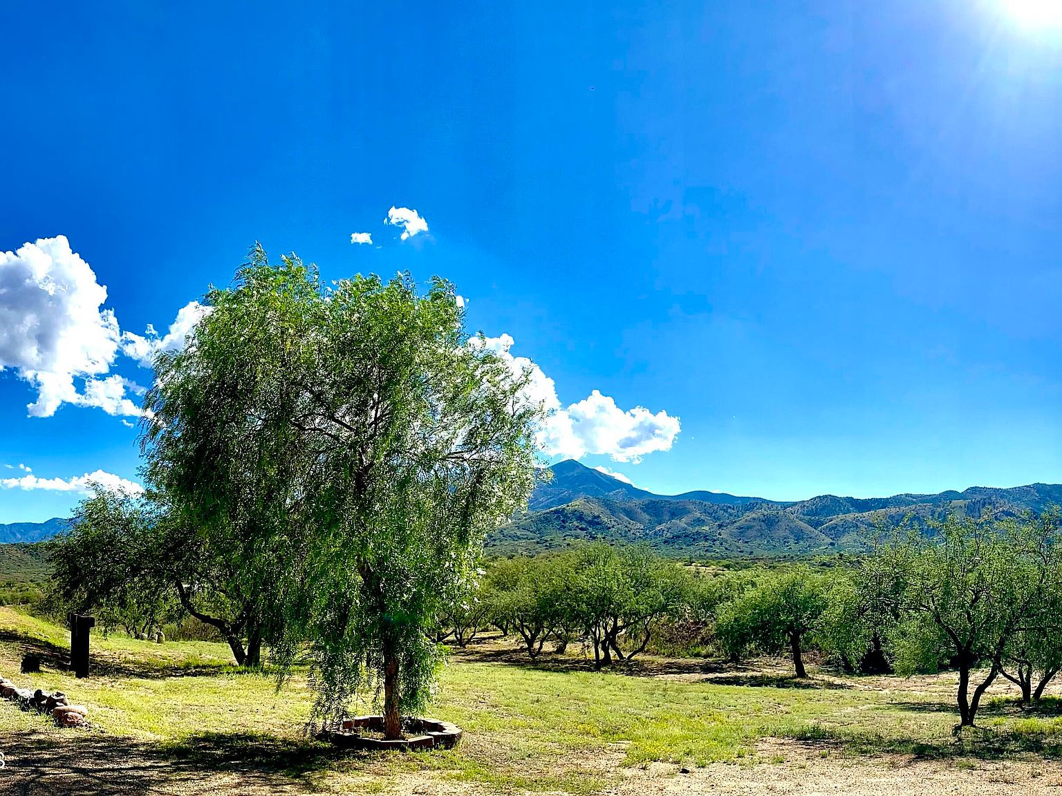 33719 S Happy Thot Dr, San Manuel, AZ 85631 MLS 6608534 Zillow