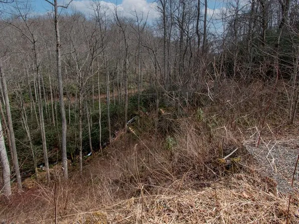 0 Walnut Cove Br, Robbinsville, NC 28771