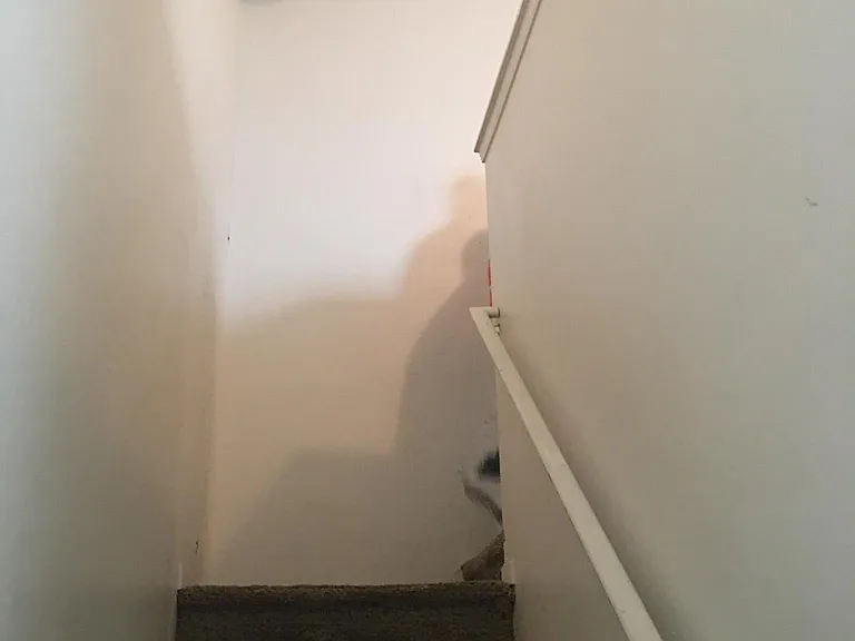 24762 Ashley Ct — Photo 25